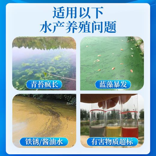 华畜 腐殖酸钠粉25公斤装 抑制青苔 培藻肥水 净水改底 商品图2