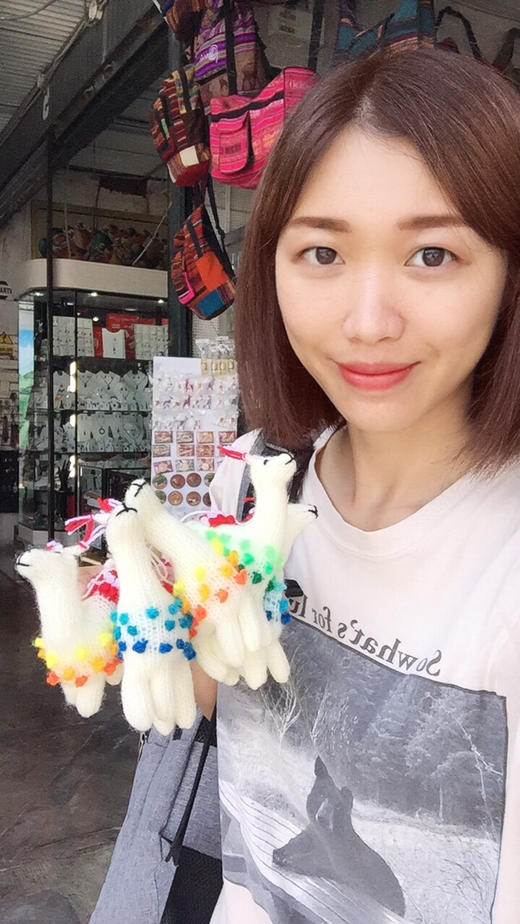 May从南美✈️带回来的秘鲁羊驼（买回2.5美金） 商品图0
