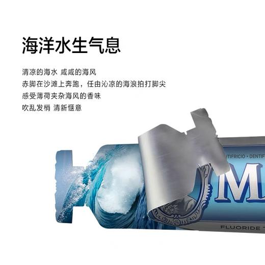 【86元会员福利】玛尔仕海洋薄荷牙膏85ml 商品图1