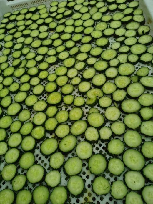 【干货】青黄瓜干/白黄瓜干（100g) 商品图2