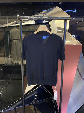 女士羊毛V领短袖衫