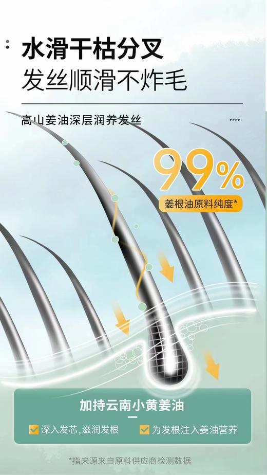 澳雪小黄姜控油去屑洗发水 商品图12
