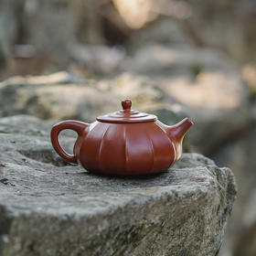 龙德堂陶艺 汤宣武制 《欣柔》原矿大红袍 240cc 库存请咨询客服