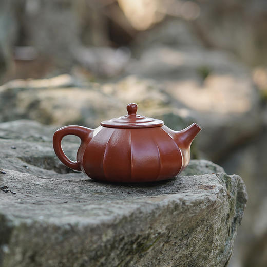 龙德堂陶艺 汤宣武制 《欣柔》原矿大红袍 240cc 库存请咨询客服 商品图0