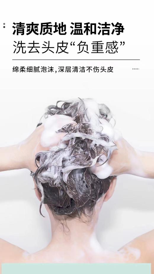 澳雪小黄姜控油去屑洗发水 商品图14