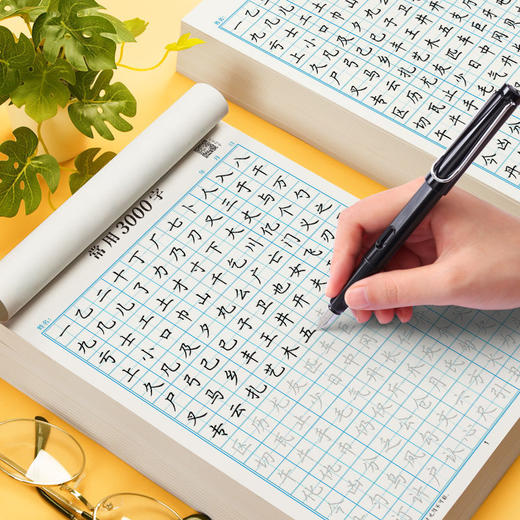 常用3000字通用版楷书入门基础练习硬笔练字帖初学者从控笔到笔画偏旁在练习常用3000字硬笔书法用纸 商品图2