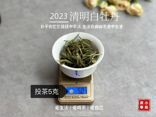 2023清明白牡丹，兰花香落水，汤水敦厚、润泽，一杯回到杏花春雨的江南 商品图6