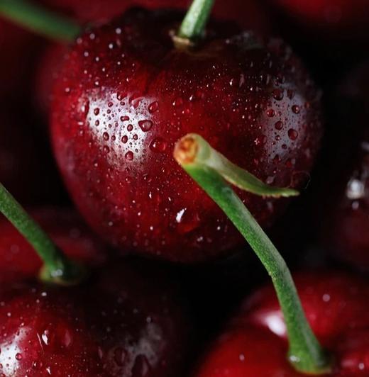 大连 美早樱桃 礼盒装 净重0.9kg 商品图3