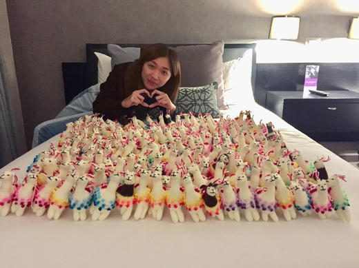 May从南美✈️带回来的秘鲁羊驼（买回2.5美金） 商品图7