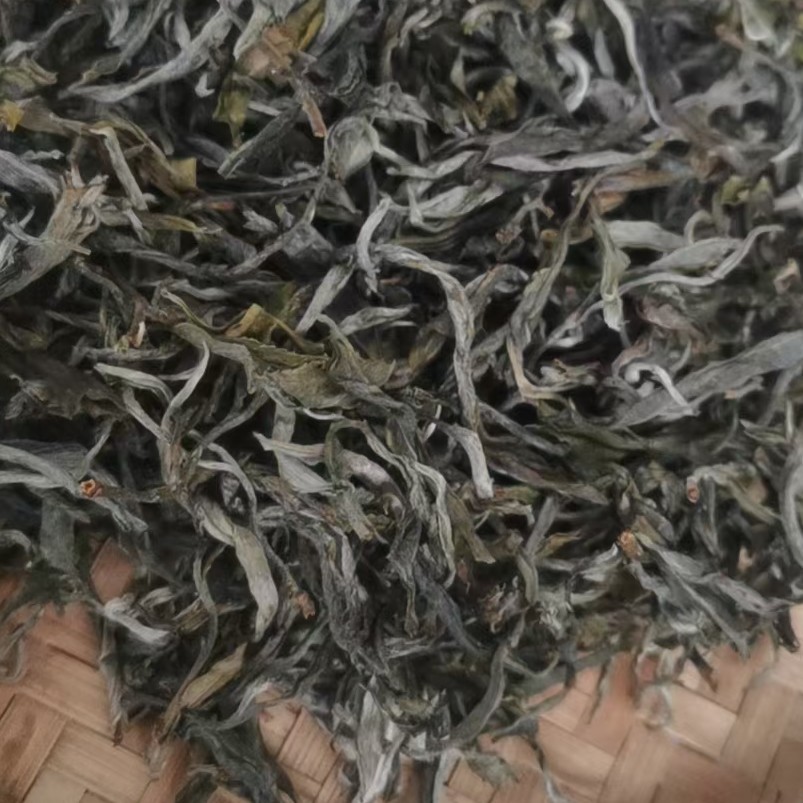 小众收藏！清代贡茶！来自太阳转身的地方！——2019年份墨江碧溪古镇勇溪村须立06号山明前头采古树茶200g