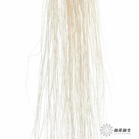 永生花材 | 龙须草白色