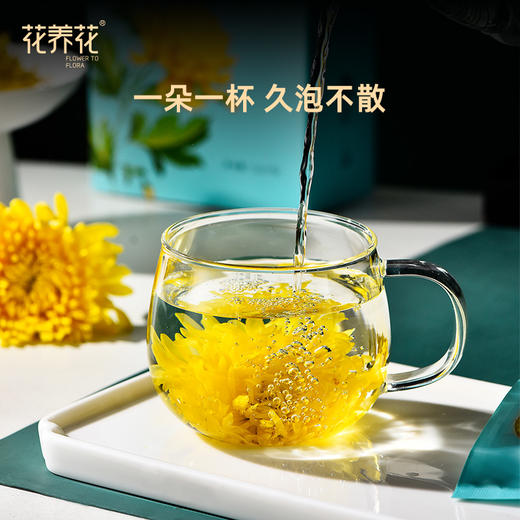 花养花丨 金丝皇菊 10g（20包）10g（20包）精选大朵 一朵一杯 商品图5