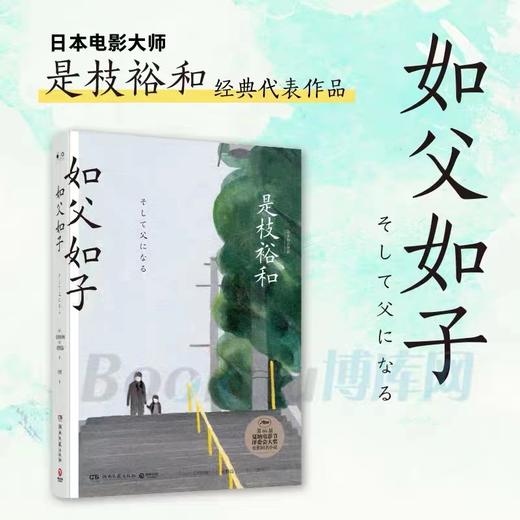 如父如子 商品图2