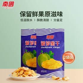 【南国食品】 菠萝蜜干脆片 250g/袋*2