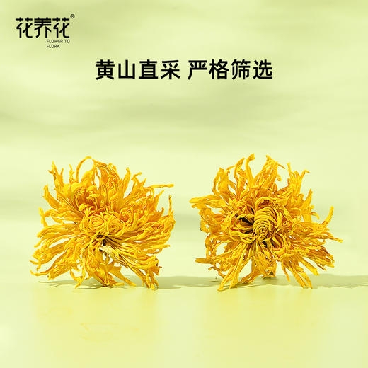 花养花丨 金丝皇菊 10g（20包）10g（20包）精选大朵 一朵一杯 商品图1