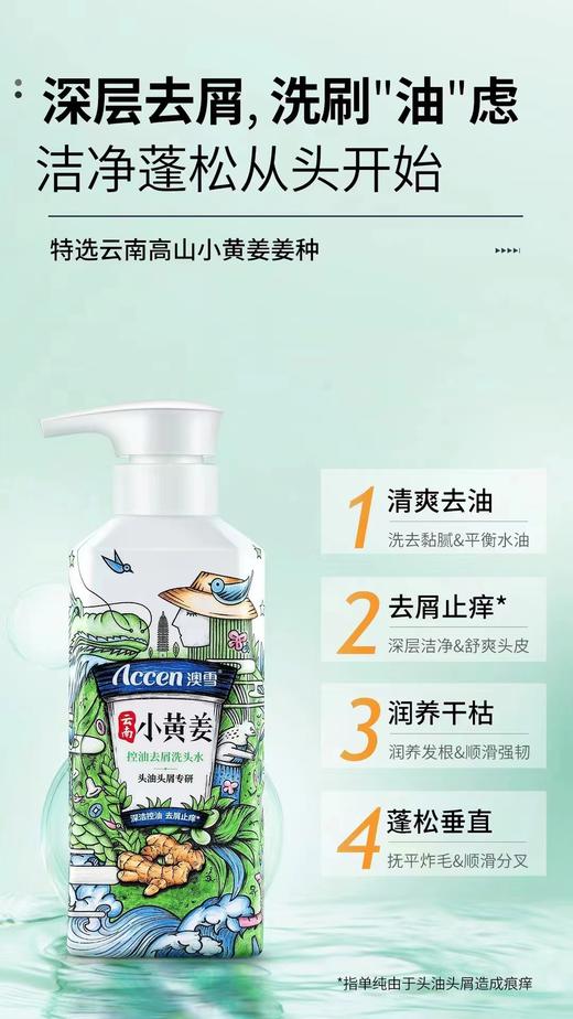 澳雪小黄姜控油去屑洗发水 商品图0