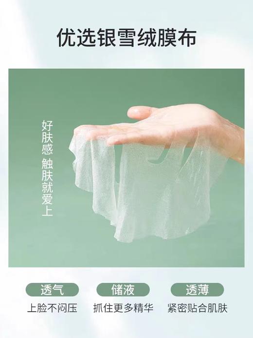 【春日集市】茶树叶面膜*5片 商品图2