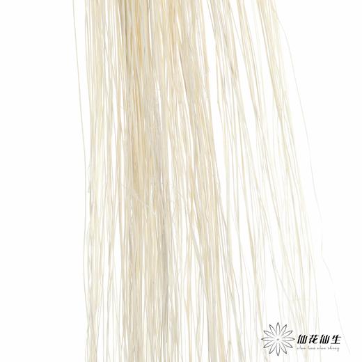 永生花材 | 龙须草白色 商品图4