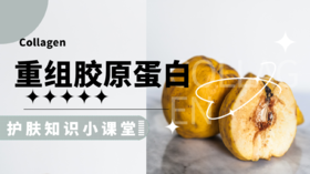 【护肤小课堂】——重组胶原蛋白