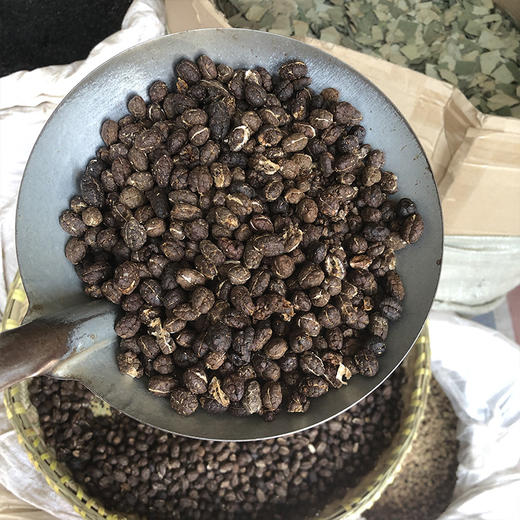 砂仁  去壳  净砂仁干净 商品图2