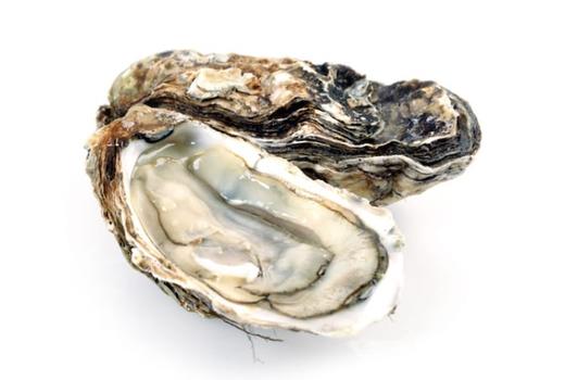 芬德克雷生蚝 Fine De Claire 商品图1