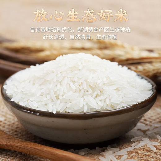 鄱阳湖臻香丝苗米5kg 商品图1