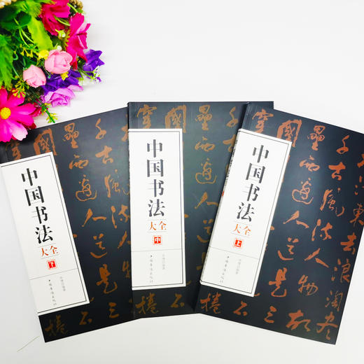 B393《中国书法大全上、中、下》（全3册） 商品图2