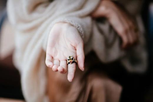 宝石作画，光影游戏｜艺术品小狮子戒指 商品图6