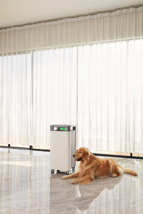 渠道专用-【新品上市】352X88医护级空气消毒机家用除甲醛除雾霾除过敏原