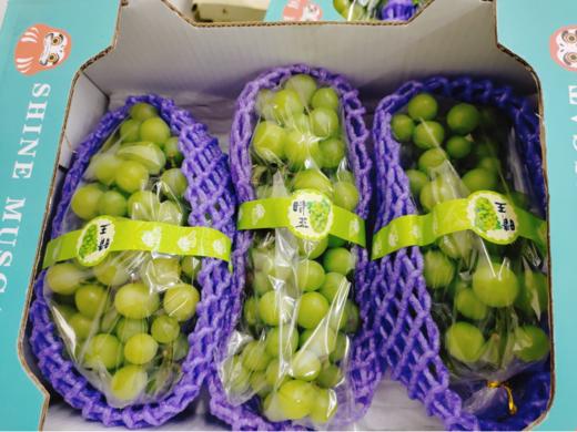 阳光玫瑰一箱（拼团） 商品图0