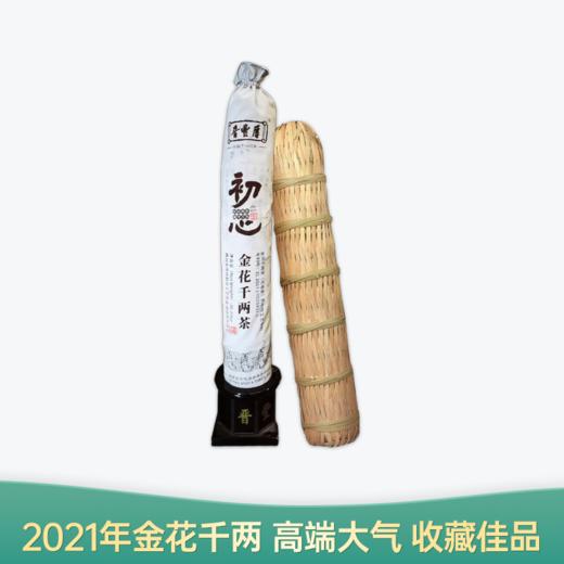 【会员日直播】初心千两茶 2021年安化黑茶 千两茶 晋丰厚 31.25kg/根 买一送一 商品图0