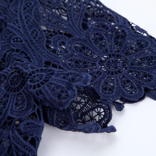 NF8H1斯尔丽瑟俪2023夏上新蕾丝职业白领小礼服时尚宴会连衣裙 商品图5