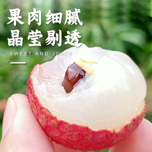 #顺丰冷链【广东•白糖罂荔枝】新鲜采摘 果皮绯红 果肉雪白 核小肉厚 清香甘甜 一吃难忘~ 商品图1
