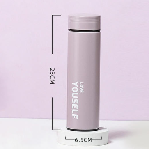 保温杯高颜值不锈钢网红泡茶水杯子大容量500mL YXRY6123 商品图1
