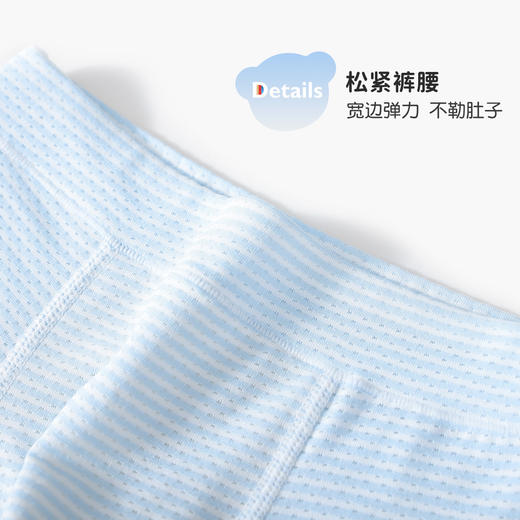 【4条装】【110，150，160】【5A抑菌网眼透气】男童清爽网眼透气内裤精典泰迪 商品图7