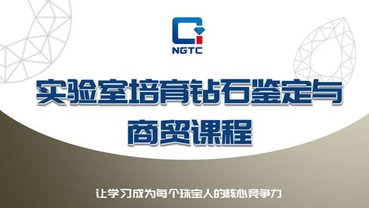 实验室培育钻石鉴定与商贸【理论课程】 商品图0