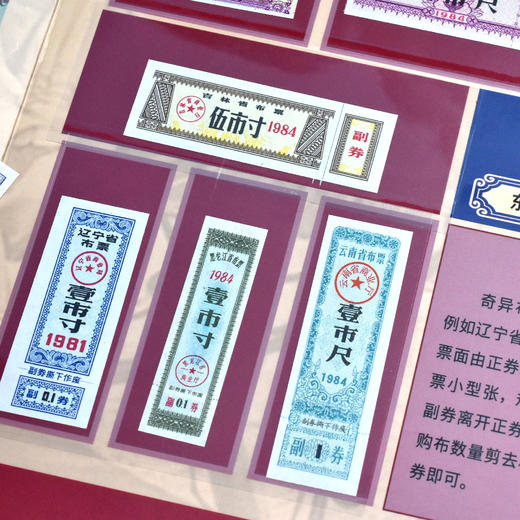 《中华票证大全》粮票、布票、生活票证精品 商品图7