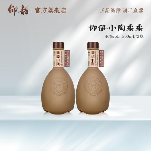 仰韶小陶—柔柔 46度500ml 兼香型白酒 整箱 商品图1