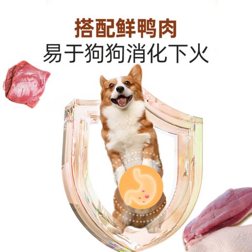 金多乐狗狗零食蛋黄牛肉粒 商品图3