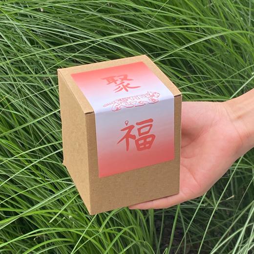 巨虎杯 商品图2