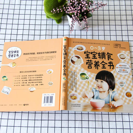 宝宝辅食营养全书 商品图4