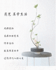 玖琰 |花艺 【东方禅意插花】体验沙龙讲座+【专业老师讲解】+【单人品茗】 商品缩略图3