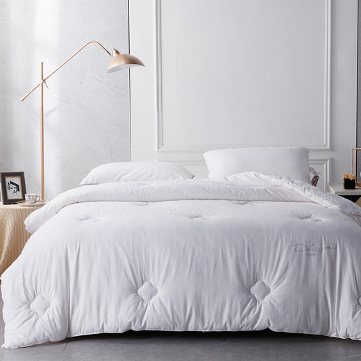 多喜爱 倾颜蚕丝大豆加厚冬被cs 商品图0