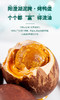 【端午好礼】探索寻鲜 乌米粽子圆桶礼盒（粽香四溢，来自传统的味道） 商品缩略图3