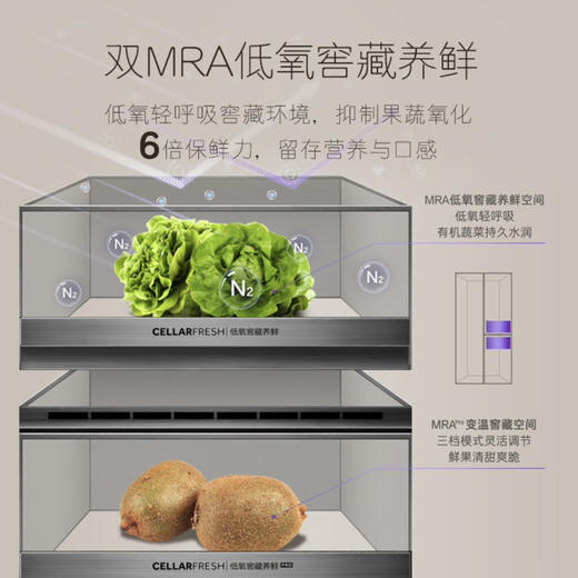 卡萨帝（Casarte）冰箱 BCD-603WGCRTM7WKU1 商品图2