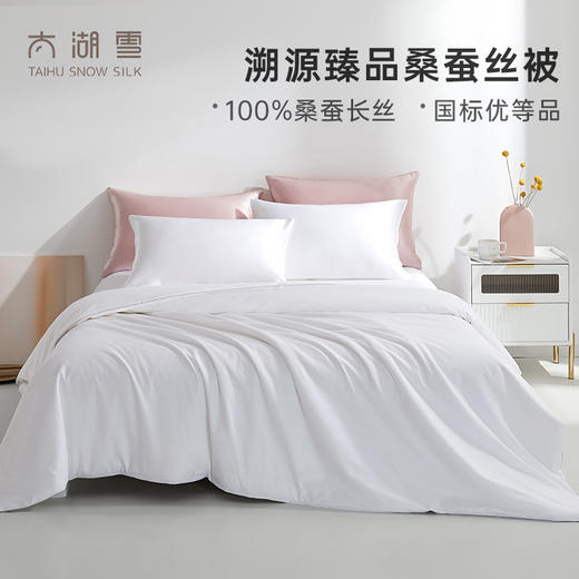 溯源臻品桑蚕丝被 商品图0