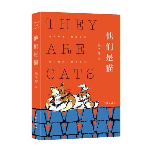 他们是猫 吴辛烨 著 小说 商品图2