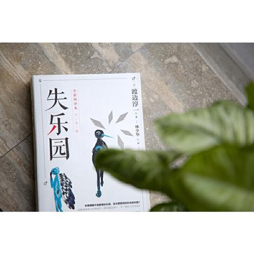 失乐园 商品图1
