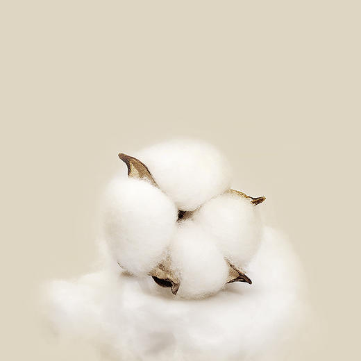 FaSoLa 双头棉签掏耳朵化妆一次性卫生棉棒小细尖头挖耳勺木棒棉花棒专用 商品图8