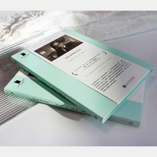 美好事物的忧伤 商品图2